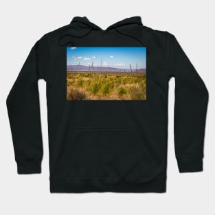 Sotol in the Chihuahuan Desert Hoodie